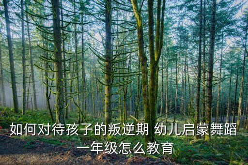 如何对待孩子的叛逆期 幼儿启蒙舞蹈 一年级怎么教育
