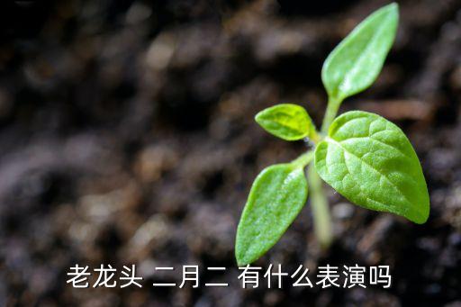 老龙头 二月二 有什么表演吗