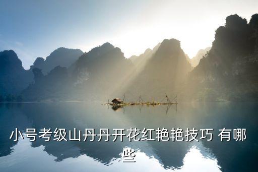 小号考级山丹丹开花红艳艳技巧 有哪些