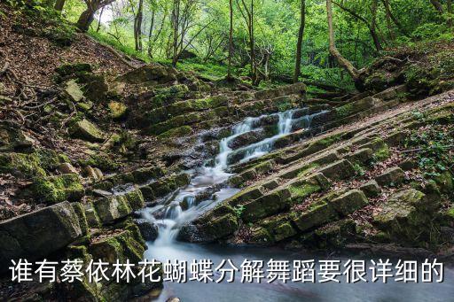 形体舞化蝶分解教学，谁有蔡依林花蝴蝶分解舞蹈要很详细的