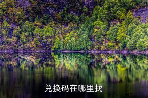 兑换码在哪里找