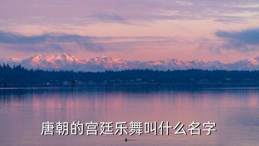 唐朝的宫廷乐舞叫什么名字