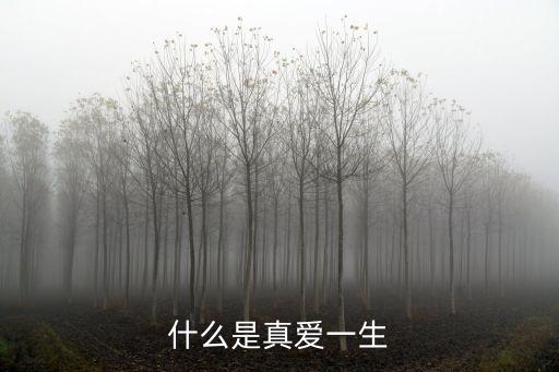 什么是真爱一生