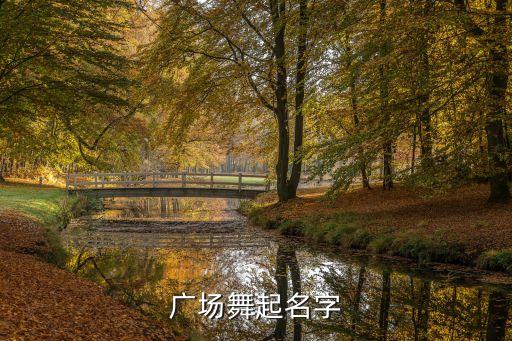 跳广场舞 需要买什么名字，军礼舞适合取什么名字