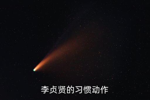 李贞贤的习惯动作