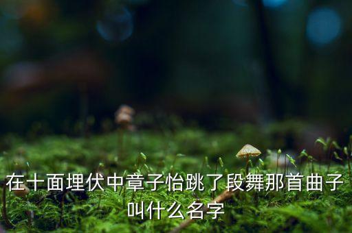 在十面埋伏中章子怡跳了段舞那首曲子叫什么名字
