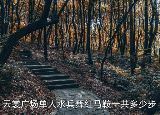 云裳广场单人水兵舞红马鞍一共多少步