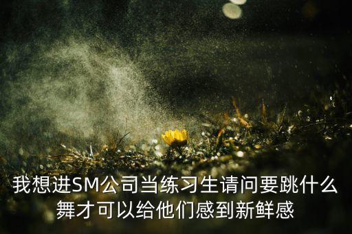 蓝莲花可以跳什么舞蹈，去SM公司选秀要跳什么舞蹈怎么才能跳好最多出现的是什么