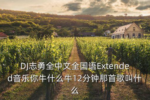你牛什么牛DJ视频夜店，你牛什么牛dj歌曲链接