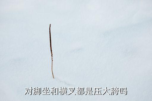 什么是芭蕾的大小胯，对脚坐和横叉都是压大胯吗