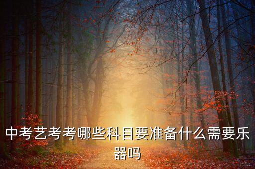 中考舞蹈艺考内容，中考舞蹈艺术生都考什么