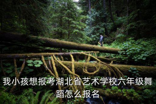 我小孩想报考湖北省艺术学校六年级舞蹈怎么报名