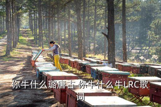 你牛什么璐唐古 你牛什么牛LRC歌词