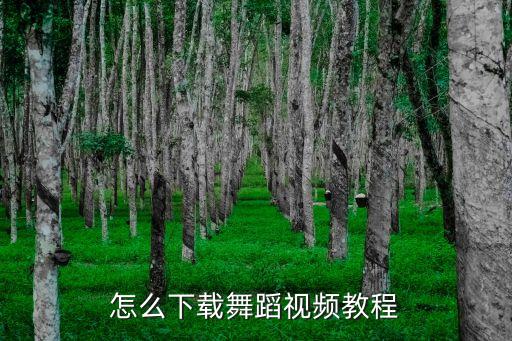 怎么下载舞蹈视频教程