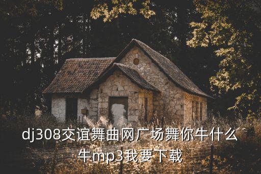dj308交谊舞曲网广场舞你牛什么牛mp3我要下载
