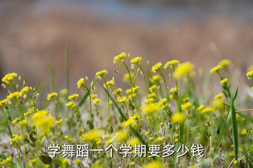 学舞蹈一个学期要多少钱