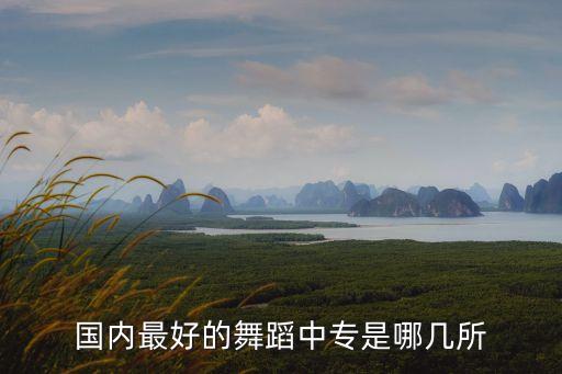 国内最好的舞蹈中专是哪几所