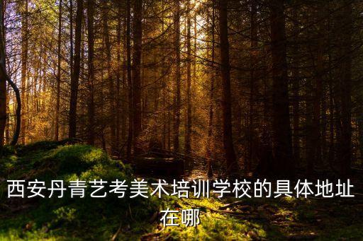 西安丹青易考美术学校简介，西安丹青艺考美术培训学校的具体地址在哪
