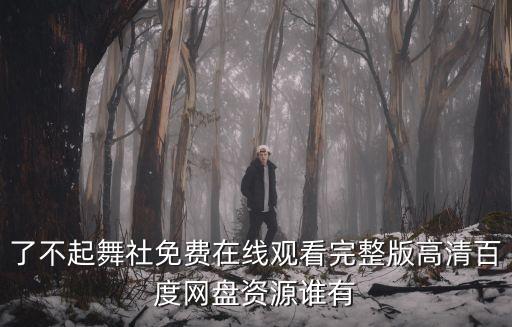 冬日舞蹈教程完整版多人版，了不起舞社免费在线观看完整版高清百度网盘资源谁有