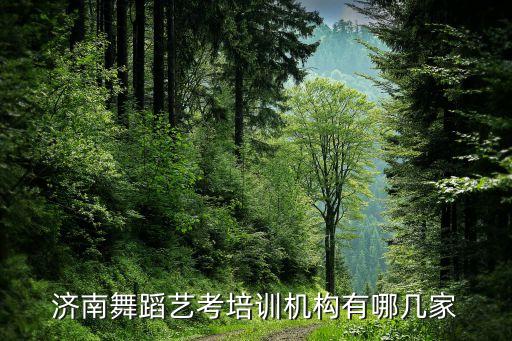 济南舞蹈艺考培训机构有哪几家