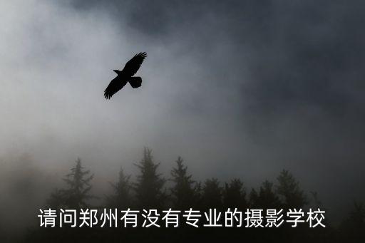 请问郑州有没有专业的摄影学校