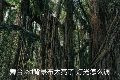 梦想列车舞蹈led背景视频，舞台led背景布太亮了 灯光怎么调