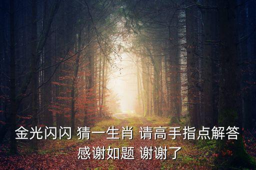 金光闪闪 猜一生肖 请高手指点解答 感谢如题 谢谢了