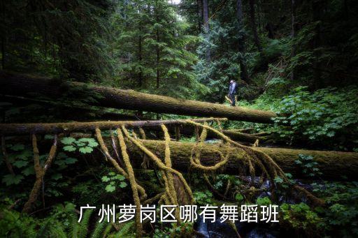 广州萝岗区哪有舞蹈班