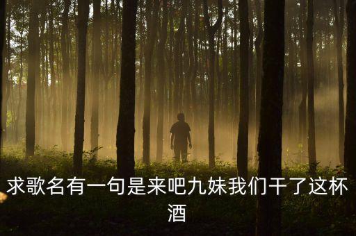 来吧九妹是什么歌，有一首歌歌词是这样的 来吧九妹就干了这杯酒 请问这首歌叫什么名字
