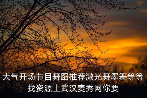 大气开场节目舞蹈推荐激光舞墨舞等等找资源上武汉麦秀网你要