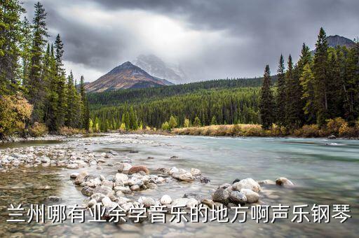兰州哪有业余学音乐的地方啊声乐钢琴