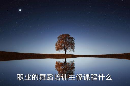 舞蹈艺术培训学校多样化课程，职业的舞蹈培训主修课程什么
