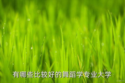 有哪些比较好的舞蹈学专业大学
