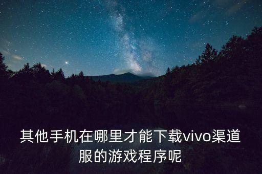 其他手机在哪里才能下载vivo渠道服的游戏程序呢