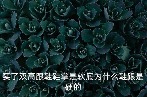 拉丁舞女鞋鞋跟为什么很硬，拉丁鞋的后跟为什么那么磨脚