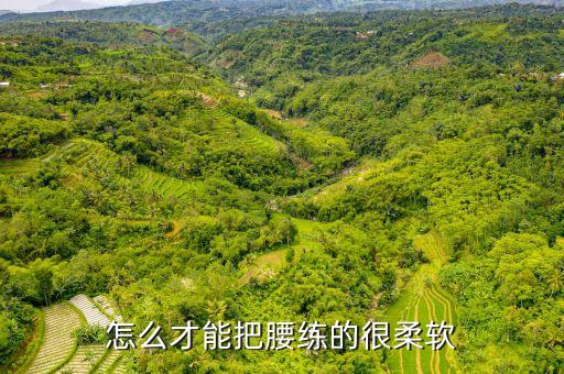 怎么才能把腰练的很柔软