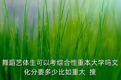 舞蹈艺体生可以考综合性重本大学吗文化分要多少比如重大  搜