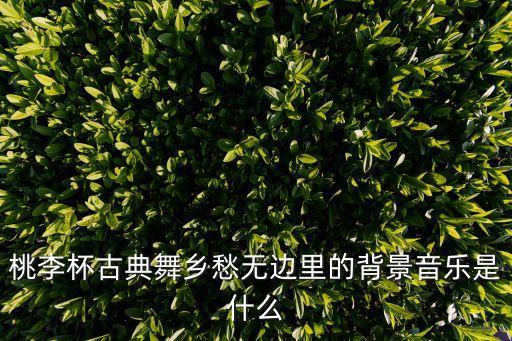 桃李杯古典舞乡愁无边里的背景音乐是什么