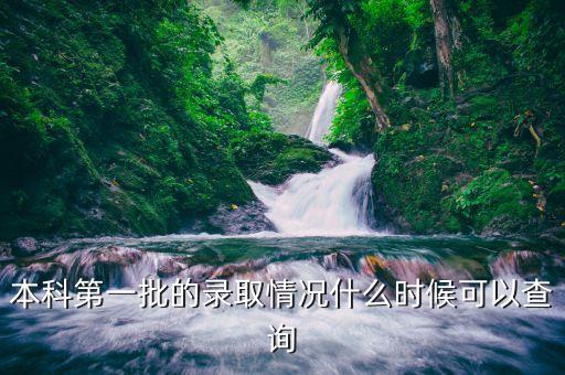 本科第一批的录取情况什么时候可以查询