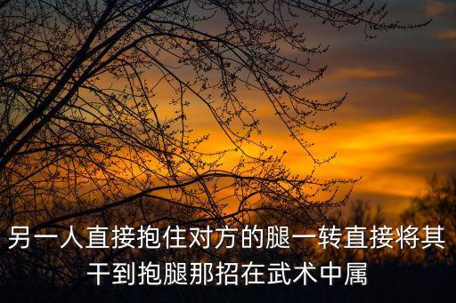 另一人直接抱住对方的腿一转直接将其干到抱腿那招在武术中属