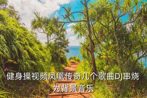 健身操视频凤凰传奇几个歌曲DJ串烧为背景音乐