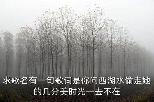 求歌名有一句歌词是你问西湖水偷走她的几分美时光一去不在
