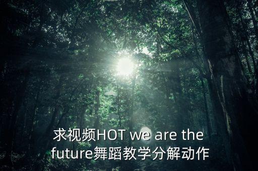 求视频HOT we are the future舞蹈教学分解动作
