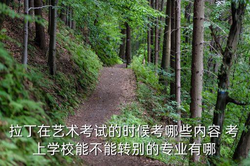 拉丁在艺术考试的时候考哪些内容 考上学校能不能转别的专业有哪