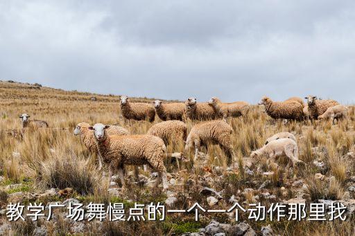 教学广场舞慢点的一个一个动作那里找