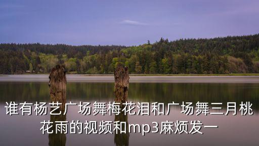 谁有杨艺广场舞梅花泪和广场舞三月桃花雨的视频和mp3麻烦发一