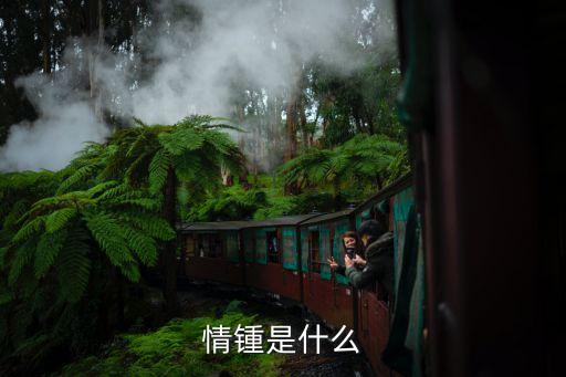 情锺是什么