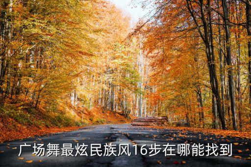 广场舞最炫民族风16步在哪能找到