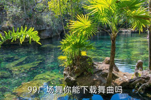 99广场舞你能下载舞曲吗