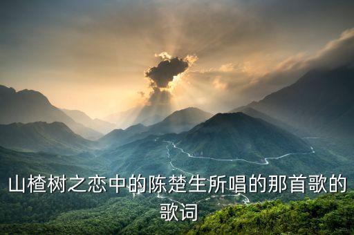 山楂树之恋中的陈楚生所唱的那首歌的 歌词
